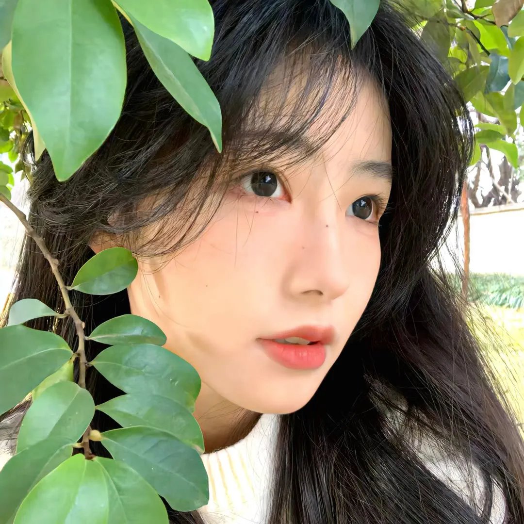 脱缰之马